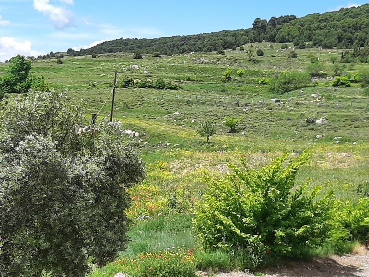 Casa Rural "Eccehomo De Borja" 外观 照片