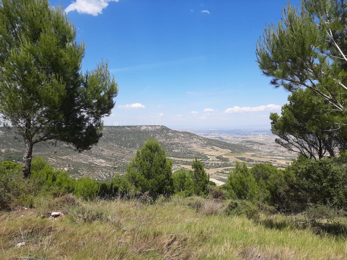 Casa Rural "Eccehomo De Borja" 外观 照片